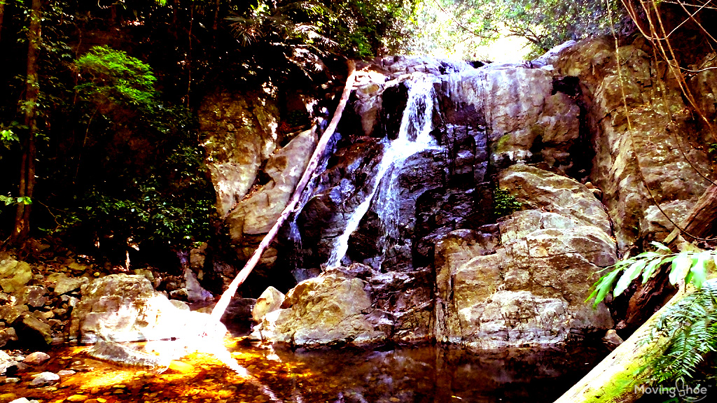 Agasthyakoodam waterfalls