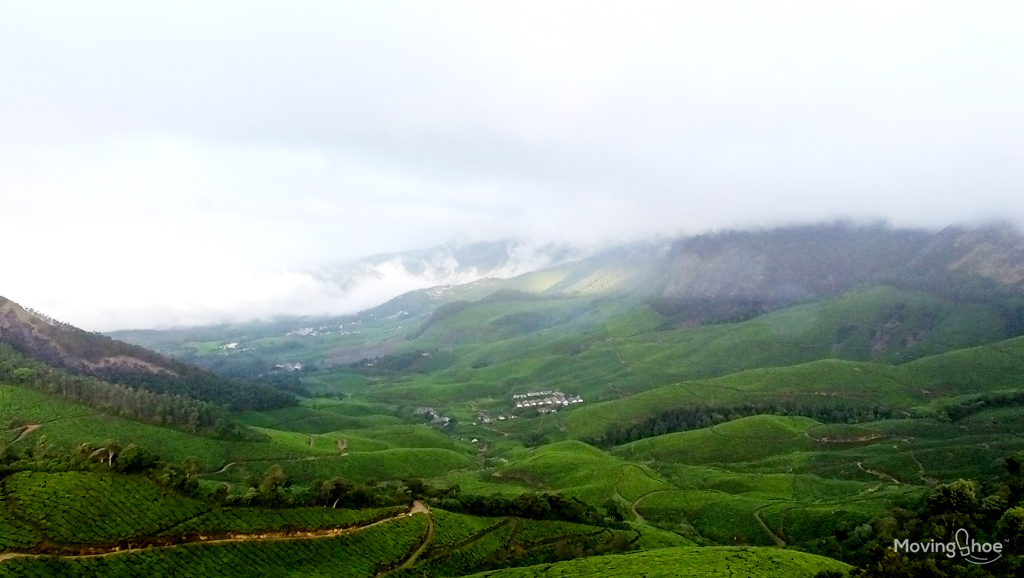 kolukkumalai tea plantation