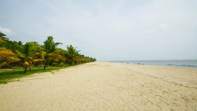 marari-beach-best-beaches-in-kerala